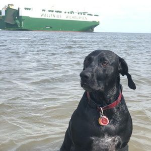 Meet your Posher, Burnam